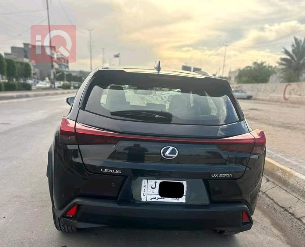 لێکزس UX